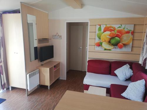 a living room with a red couch and a painting of fruit at Grand Mobil home 3chbr 2sdb camping La Carabasse in Vias