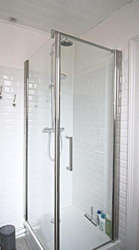 une douche avec une porte vitrée dans une salle de bain dans l'établissement Coeur du Boulingrin, à Reims