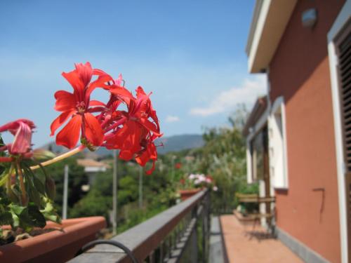 A patio or other outdoor area at Anthea Dell' Etna