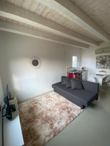 ein Wohnzimmer mit einem Sofa und einem Teppich in der Unterkunft CASA MARLU in Vicenza