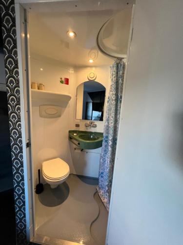 a bathroom with a toilet and a sink at Fasthotel Le Mans in Saint-Saturnin