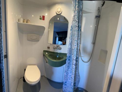 uma casa de banho com um lavatório, um WC e um chuveiro em Fasthotel Le Mans em Saint-Saturnin