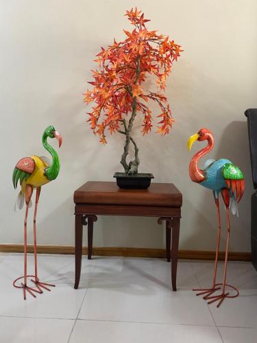 two birds sitting on a table next to a plant at Aruba , Eagle Beach Townhouse in Palm-Eagle Beach