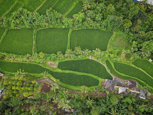 Landskap semula jadi dekat dengan rumah percutian