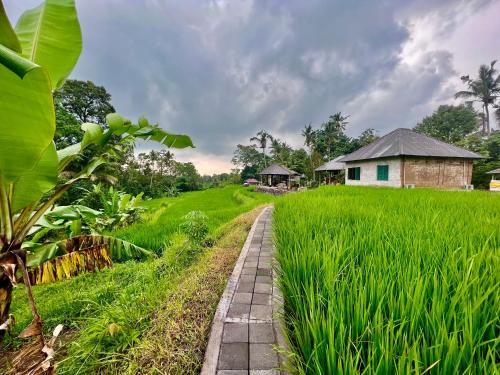 Taman di luar Kubu Astina