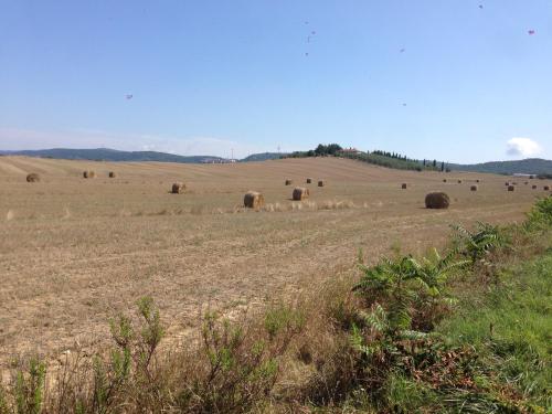 a field with bales of hay on a hill at Antica Dimora in Monteroni dʼArbia