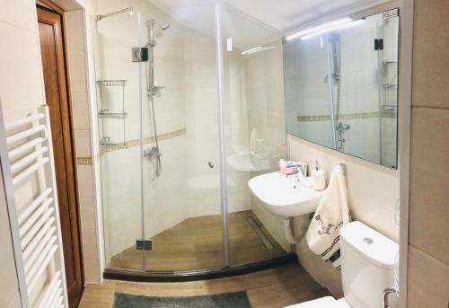 a bathroom with a shower and a sink and a toilet at Villa Mischa in Grashtitsa