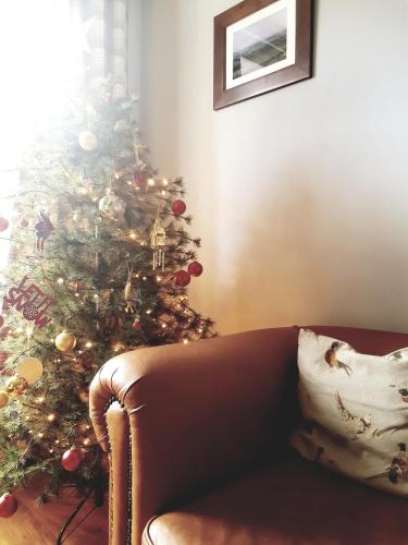a christmas tree in a living room with a couch at Woolly Hill House - Beautiful Townhouse in the Heart of Wooler in Wooler