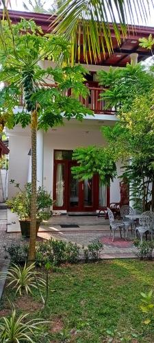 dom z palmą i ławkami przed nim w obiekcie Olee Villa w mieście Bentota