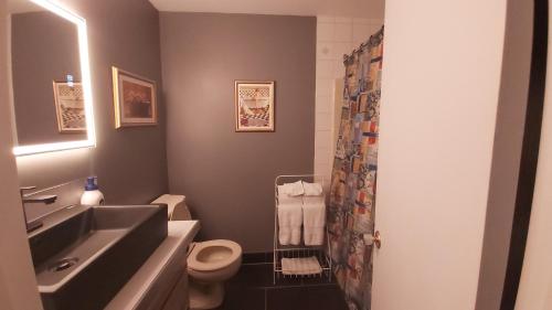 een badkamer met een wastafel, een toilet en een douche bij Bernache in Mont-Tremblant