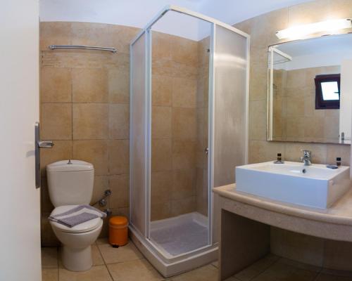 a bathroom with a shower and a sink and a toilet at Casa Laios in Chiliadou