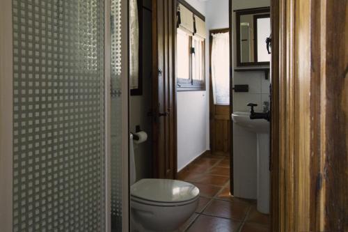 un baño con inodoro y lavabo en Gran Casa Rural La Vendimia, en Los Arenales de la Moscarda