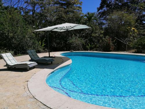 Casa de la flores – Photos 3