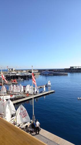 eine Gruppe von Booten, die an einem Dock im Wasser angedockt sind in der Unterkunft Amazing view - Monaco in Cap d'Ail