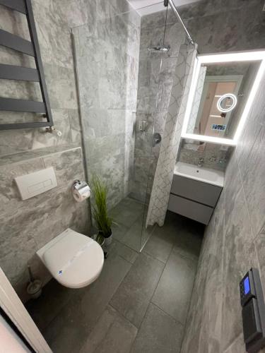 een badkamer met een toilet, een douche en een wastafel bij Club Panoráma Prémium in Alsóörs