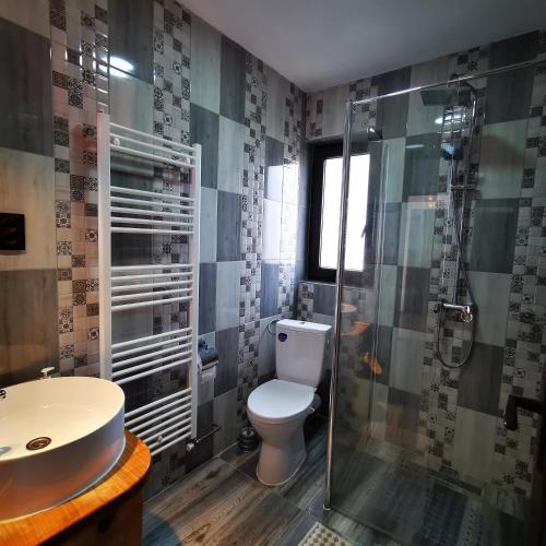 a bathroom with a toilet and a glass shower at Pensiunea Casa Petran in Breb