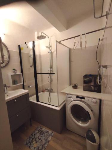 une salle de bain avec douche et machine à laver dans l'établissement Joli appartement face à la mer- Grisgione, à San-Martino-di-Lota