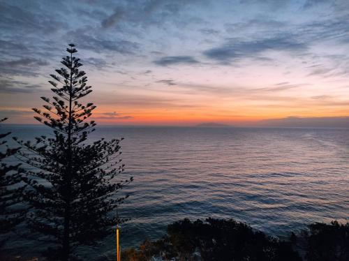 Joli appartement face à la mer- Grisgione