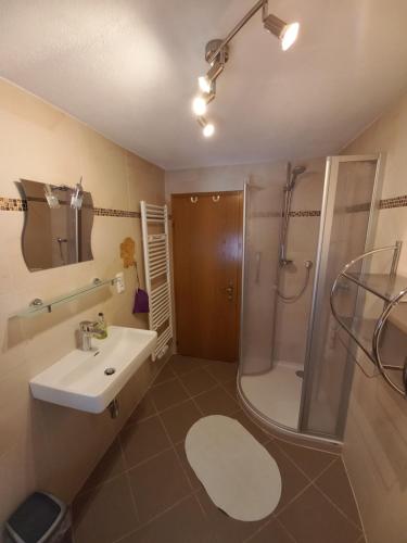 a bathroom with a shower and a sink and a toilet at Appartement Müllner in Kirchdorf in Tirol