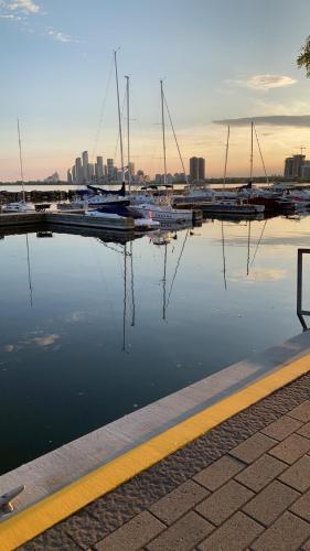 a marina with boats parked in the water at Queen Loft in Nature in Toronto