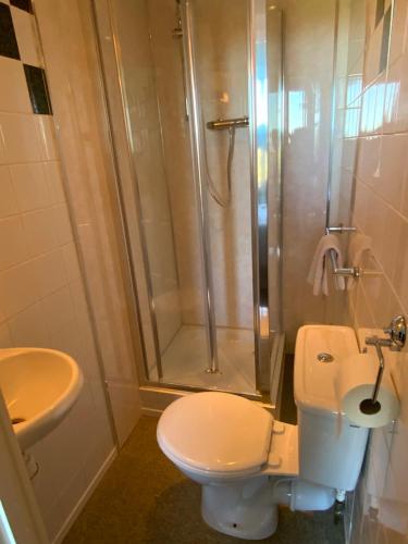 a bathroom with a toilet and a shower and a sink at The Laurels Hotel in Skegness