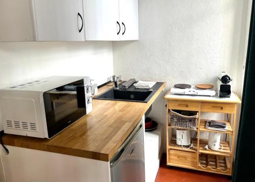 uma cozinha com pia e micro-ondas em Studio vieil Antibes em Antibes