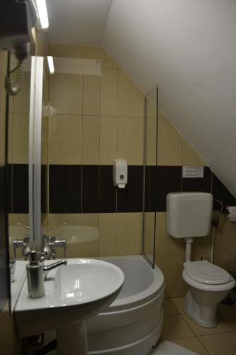 a bathroom with a toilet and a sink at Casa "Cabana Varciorog Arieseni" in Arieşeni