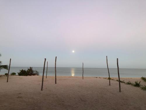 a group of sticks in the sand on a beach at Playa 55 beach escape - adults only Guesthouse in Celestún