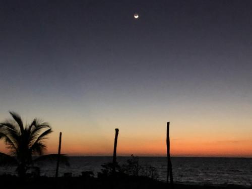 a sunset on the beach with a palm tree and the moon at Playa 55 beach escape - adults only Guesthouse in Celestún