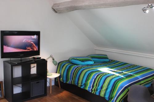 1 dormitorio con 1 cama y TV en Studio à Rambouillet en Rambouillet