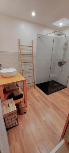 ein Bad mit einem Waschbecken und einer Glasdusche in der Unterkunft Chez Seb & Virginie in La Possession