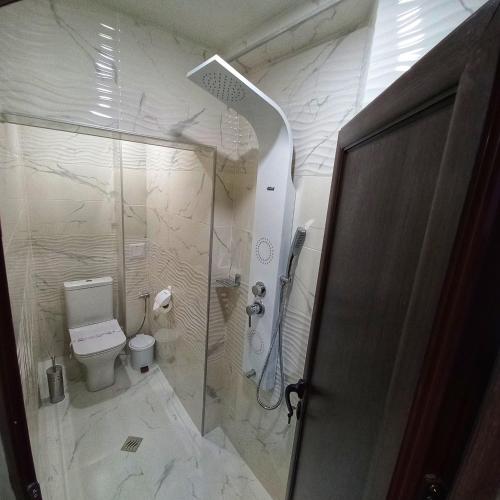 ein Bad mit einer Dusche und einem WC in der Unterkunft Старата Лоза in Montana