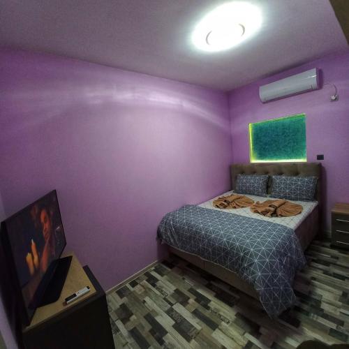蒙塔納的住宿－Старата Лоза，卧室设有紫色墙壁和1张床