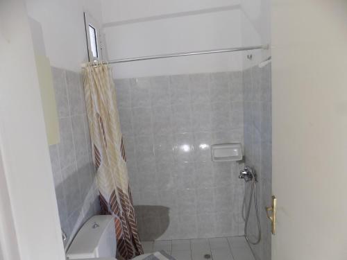 a bathroom with a shower with a toilet and a sink at JERRY'S STUDIOS LASSI in Lassi