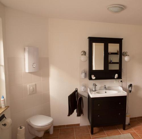a bathroom with a toilet and a sink and a mirror at Ferienwohnung Falk in WÃ¶lpinghausen