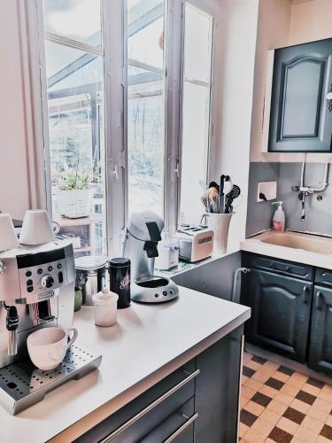 - une cuisine avec un comptoir et une cafetière dans l'établissement La Maison du Bonheur maison de campagne 20 personnes avec jacuzzi, à Anneyron