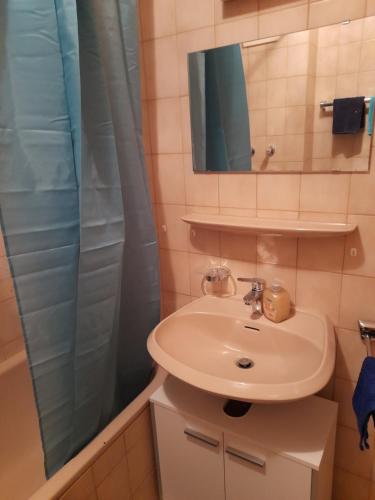 Ένα μπάνιο στο Ferienwohnung Lucky Luggi in Bad Griesbach