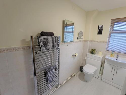 a bathroom with a toilet and a sink at 3 Harbour Strand in Bembridge