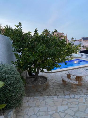 a tree and bench next to a swimming pool at Casa di Paddy in Ciudad Quesada