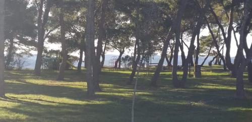 Fotografia z galérie ubytovania Apartman Petar v destinácii Zadar