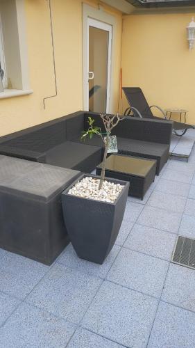 a patio with black furniture and a potted plant at Unterkunft Mitten im schönen Frankenland in Buchbrunn