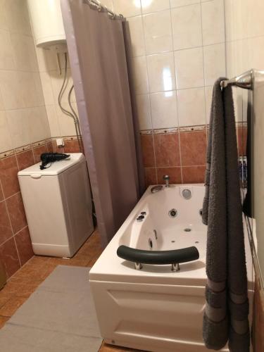 a bathroom with a bath tub and a toilet at Petrovac Holiday Apartments 2 in Petrovac na Moru