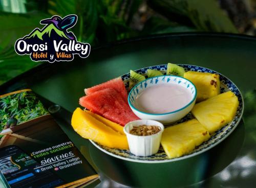 オロシにあるVillas Orosi Valley Lodgeのギャラリーの写真