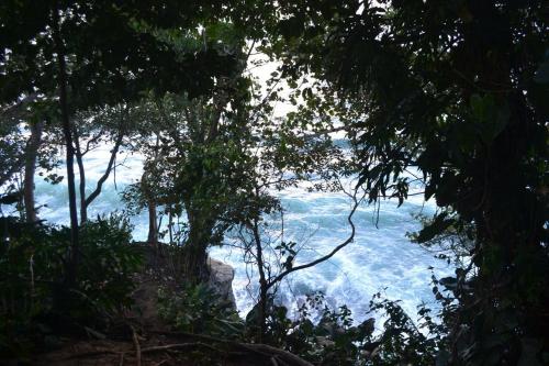 a view of the ocean from a forest of trees at Hotel cahuita in Cahuita