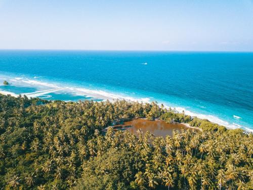 Olive Goidhoo – Photos 5
