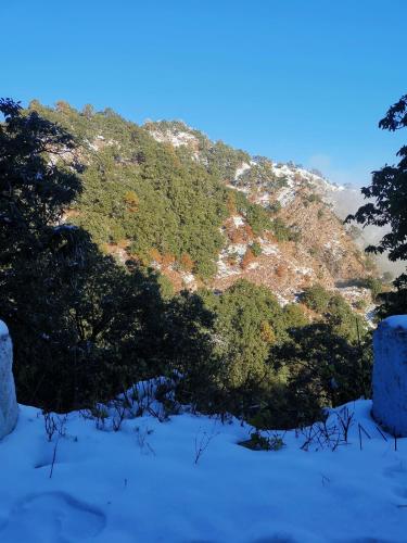 a mountain covered in snow with trees in the foreground at Villa by Mountain Homes- Lansdowne in Lansdowne