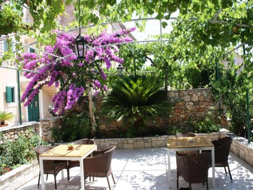 Apartments Paloc