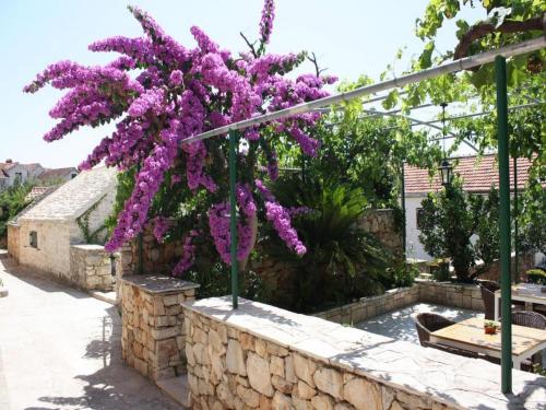 Apartments Paloc