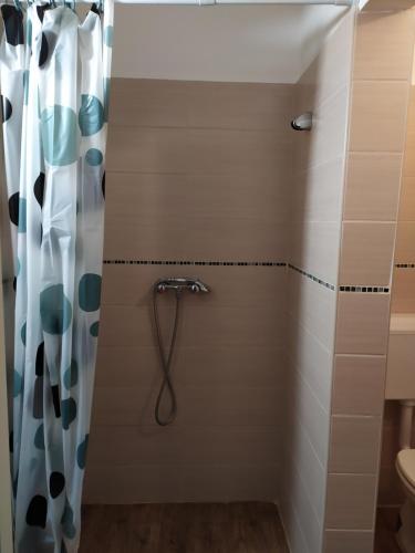 łazienka z prysznicem z zasłoną prysznicową w obiekcie Napraforgó apartman Tokaj w Tokaju