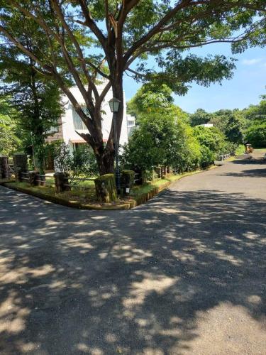a street with a tree on the side of a road at Destination A1 32 Villa in Neral